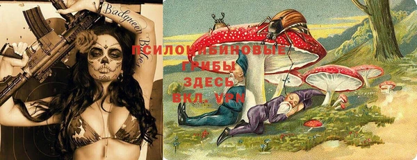 a pvp Алексин